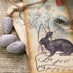 热门午夜福利视频 8dw12